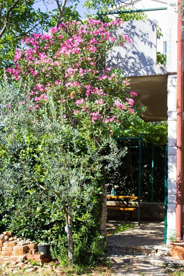 Bilini Garden Apartment بولا المظهر الخارجي الصورة